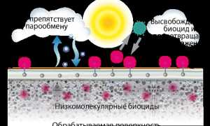 Грунтовка акриловая нортекс грунт технические характеристики